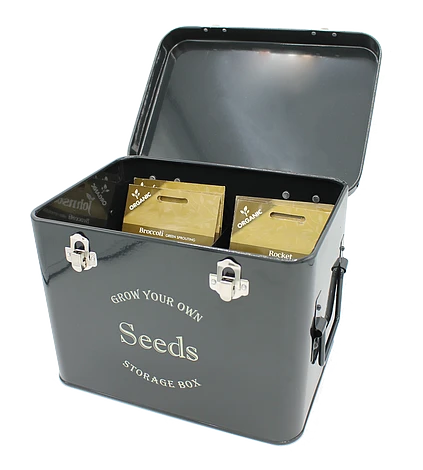 Black Seed Tin 2 Black Seed Tin - Image 2