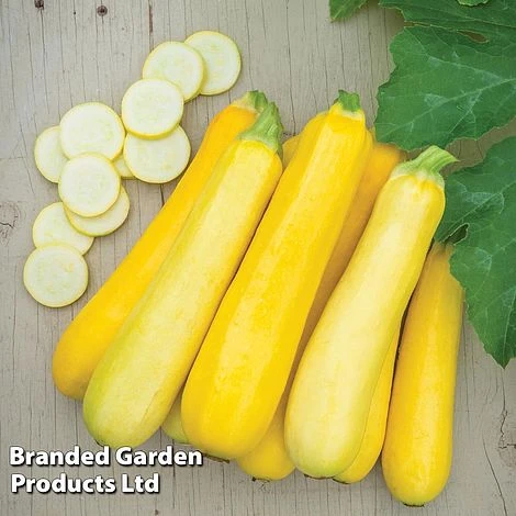Courgette 'Butterstick' F1 1 Courgette 'Butterstick' F1