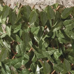 Expandable Artificial Ivy Hedge Trellis -Fresh Sprout G1041 3 1000x1000 1