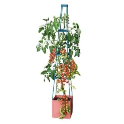 Garden Grow Self Watering Tomato Tower 11 Garden Grow Self Watering Tomato Tower -Fresh Sprout G2202 4 Tier Self Watering Tomato Tower CO with toms 2000x2000 1