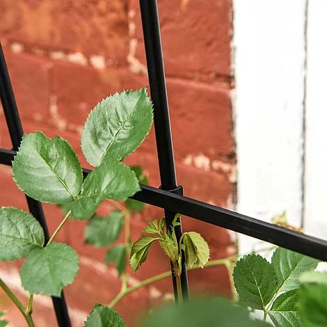 Garden Gear 1.2-Metre Fan Trellis 2 Garden Gear 1.2-Metre Fan Trellis - Image 2