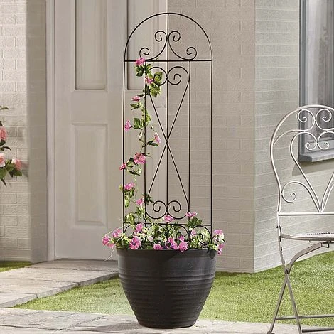 Garden Gear 1.2M Metal Plant Support - Swirl 2 Garden Gear 1.2M Metal Plant Support - Swirl - Image 2