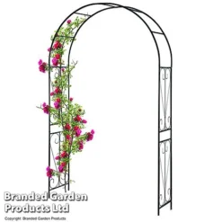 Garden Gear 2.2M Metal Garden Arch -Fresh Sprout GARD ARCHSWIRL T47919
