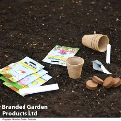 Mr Men Seed Grow Flower Kit -Fresh Sprout GKIT LITTLEMIS T49095