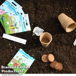 Mr Men Seed Grow Vegetable Kit 8 Mr Men Seed Grow Vegetable Kit -Fresh Sprout GKIT MRMEN T49099