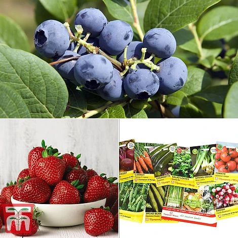 Grow Your Own Bumper Pack 1 Grow Your Own Bumper Pack