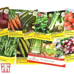 Grow Your Own Bumper Pack 6 Grow Your Own Bumper Pack -Fresh Sprout GROW WKB9279 C