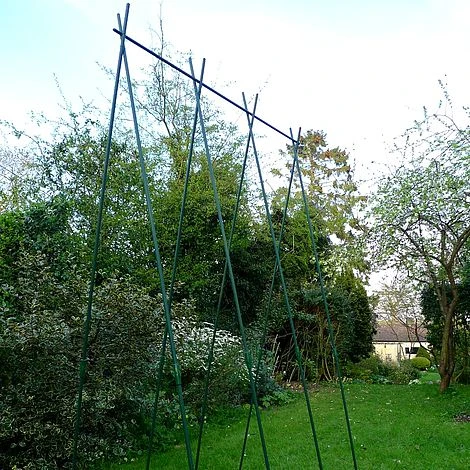 Easy Grow Runner Bean Frame & Climbing Plant Support Trellis - 0.75 X 1.2 X 2.4m H 2 Easy Grow Runner Bean Frame & Climbing Plant Support Trellis - 0.75 X 1.2 X 2.4m H - Image 2