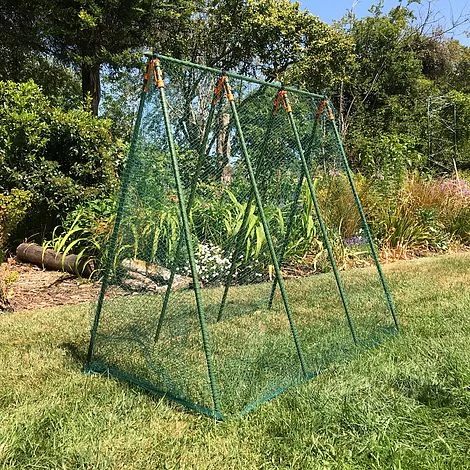 Pea Master Heavy Duty Pea & Climbing Plant Support Frame - 0.75 X 1.2 X 1.2m H 4 Pea Master Heavy Duty Pea & Climbing Plant Support Frame - 0.75 X 1.2 X 1.2m H - Image 4