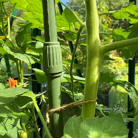 Telescopic Extendable Tomato & Cucumber Climbing Plant Support Stakes 1 Telescopic Extendable Tomato & Cucumber Climbing Plant Support Stakes