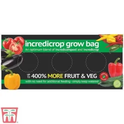 Vegetable Bumper Pack -Fresh Sprout INCR TKA2825 A1