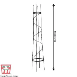Open Top Obelisk 6 Open Top Obelisk -Fresh Sprout OBE KB0600 C