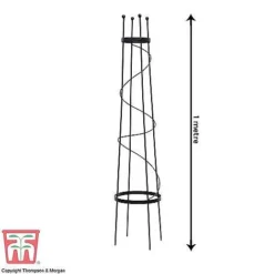 Open Top Obelisk 7 Open Top Obelisk -Fresh Sprout OBE KB0600 D