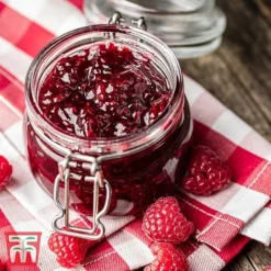 Raspberry Full Season Collection British Bred -Fresh Sprout RASP RECIPE CUL 2