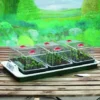 Big 3 Electric Propagator