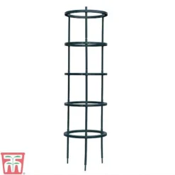 Tomato Growing Support -Fresh Sprout TOMA TKA6818P A