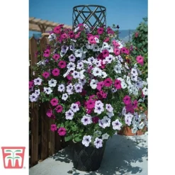 Black & Gold Tower Pot™ 7 Black & Gold Tower Pot™ -Fresh Sprout TOWE TKA8073 B1