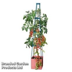 Garden Grow Self Watering Tomato Tower 12 Garden Grow Self Watering Tomato Tower -Fresh Sprout TOWE TOMSELFWA T045925