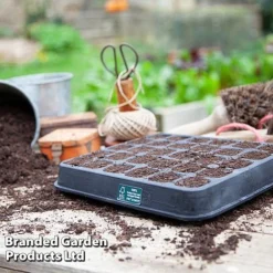 Fresh Sprout -Fresh Sprout TRAY 30SEEDNAT S41388