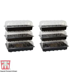 Garden Grow Plug And Seed Growing Tray 7 Garden Grow Plug And Seed Growing Tray -Fresh Sprout TRAY 40PROP2X3 T380001