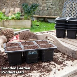 6 Cell XL Natural Rubber Seed Tray 6 6 Cell XL Natural Rubber Seed Tray -Fresh Sprout TRAY 6SEEDNATU S41362