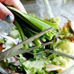 Allium 'Quattro' 7 Allium 'Quattro' -Fresh Sprout VEALL35203