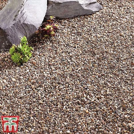 Decorative Alpine Grit Aggregate 1 Decorative Alpine Grit Aggregate