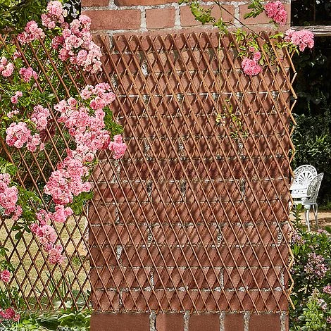 Extendable Willow Trellis - Twin Pack 2 Extendable Willow Trellis - Twin Pack - Image 2
