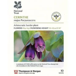 Seed Collection Tin + 10 Packets Of National Trust Seeds -Fresh Sprout cerinthe majus P2