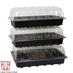 Garden Grow Plug And Seed Growing Tray 6 Garden Grow Plug And Seed Growing Tray -Fresh Sprout domed