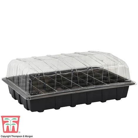 Garden Grow Plug And Seed Growing Tray 1 Garden Grow Plug And Seed Growing Tray