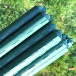 Plant Stake & Tomato Support Garden Canes - 1.2m / 47" Long 7 Plant Stake & Tomato Support Garden Canes - 1.2m / 47" Long -Fresh Sprout plant20stakes202000x2000204219kb2