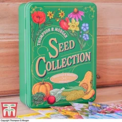 Seed Collection Tin - Gift -Fresh Sprout seed tin 4