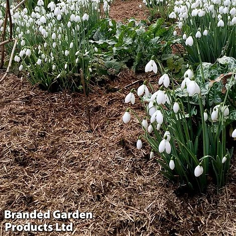 Strulch Mineralised Straw Garden Mulch 2 Strulch Mineralised Straw Garden Mulch - Image 2