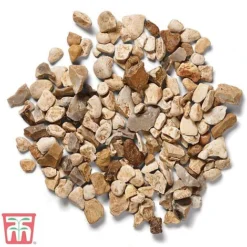 Decorative Yorkshire Cream Aggregate 5 Decorative Yorkshire Cream Aggregate -Fresh Sprout york cre c